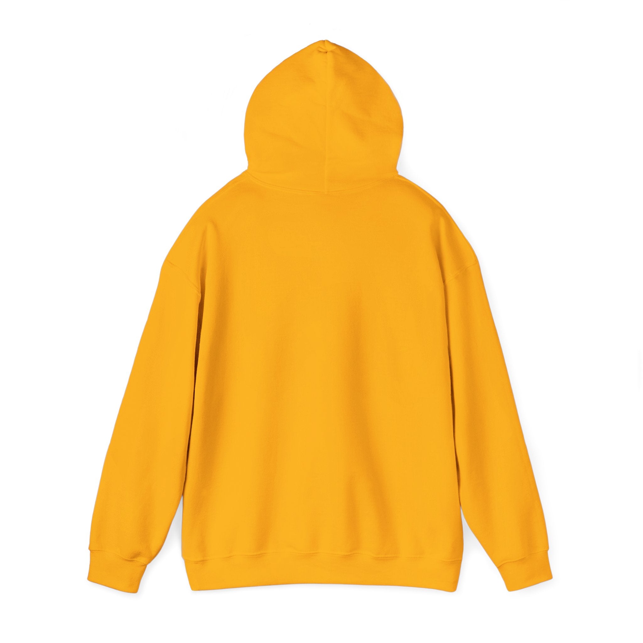 Sōl™ Clothing - Unisex Heavy Blend Hoodie - Cozy Sweatshirt for Every Day, Perfect for Holidays, Gifts, and Chill Evenings