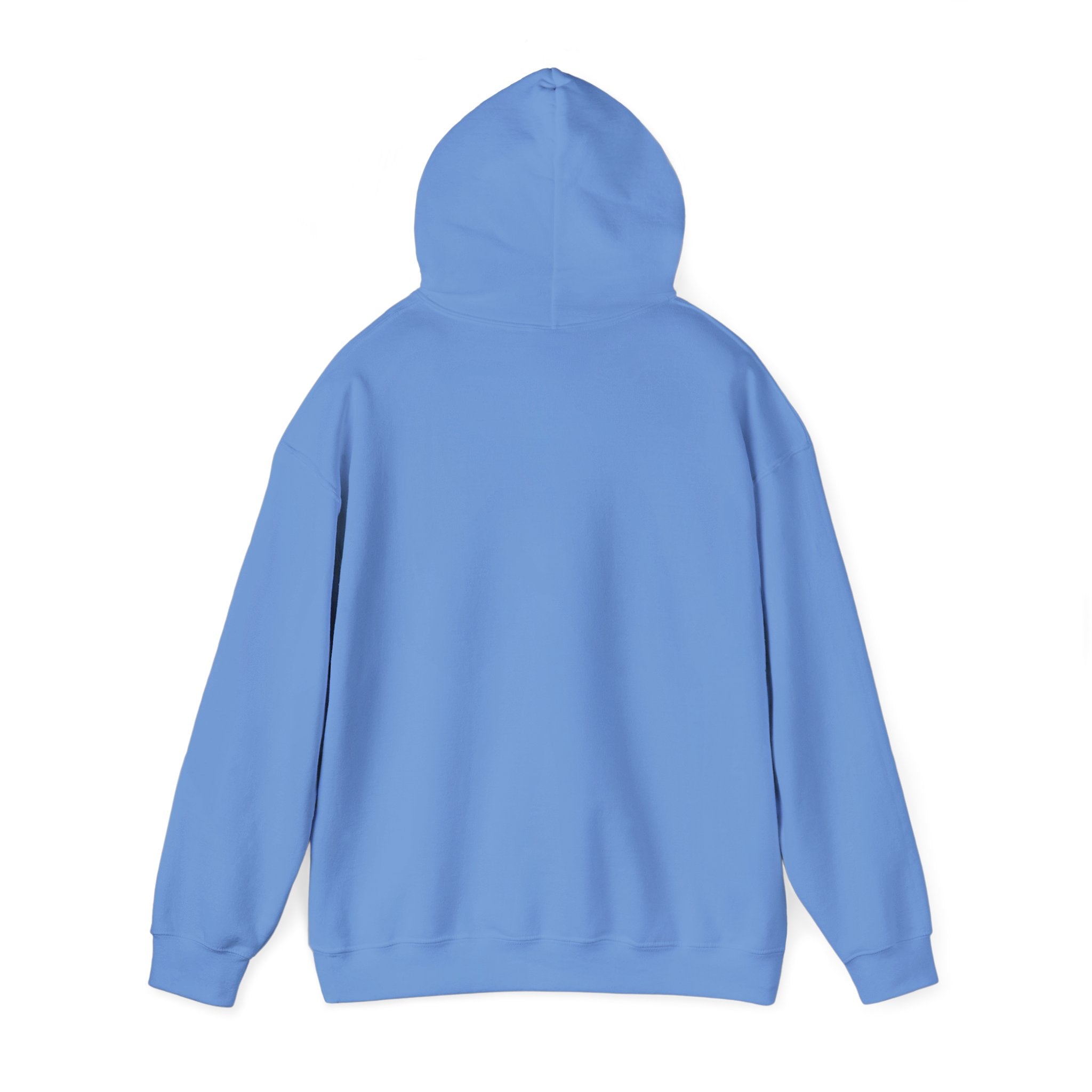Sōl™ Clothing - Unisex Heavy Blend Hoodie - Cozy Sweatshirt for Every Day, Perfect for Holidays, Gifts, and Chill Evenings