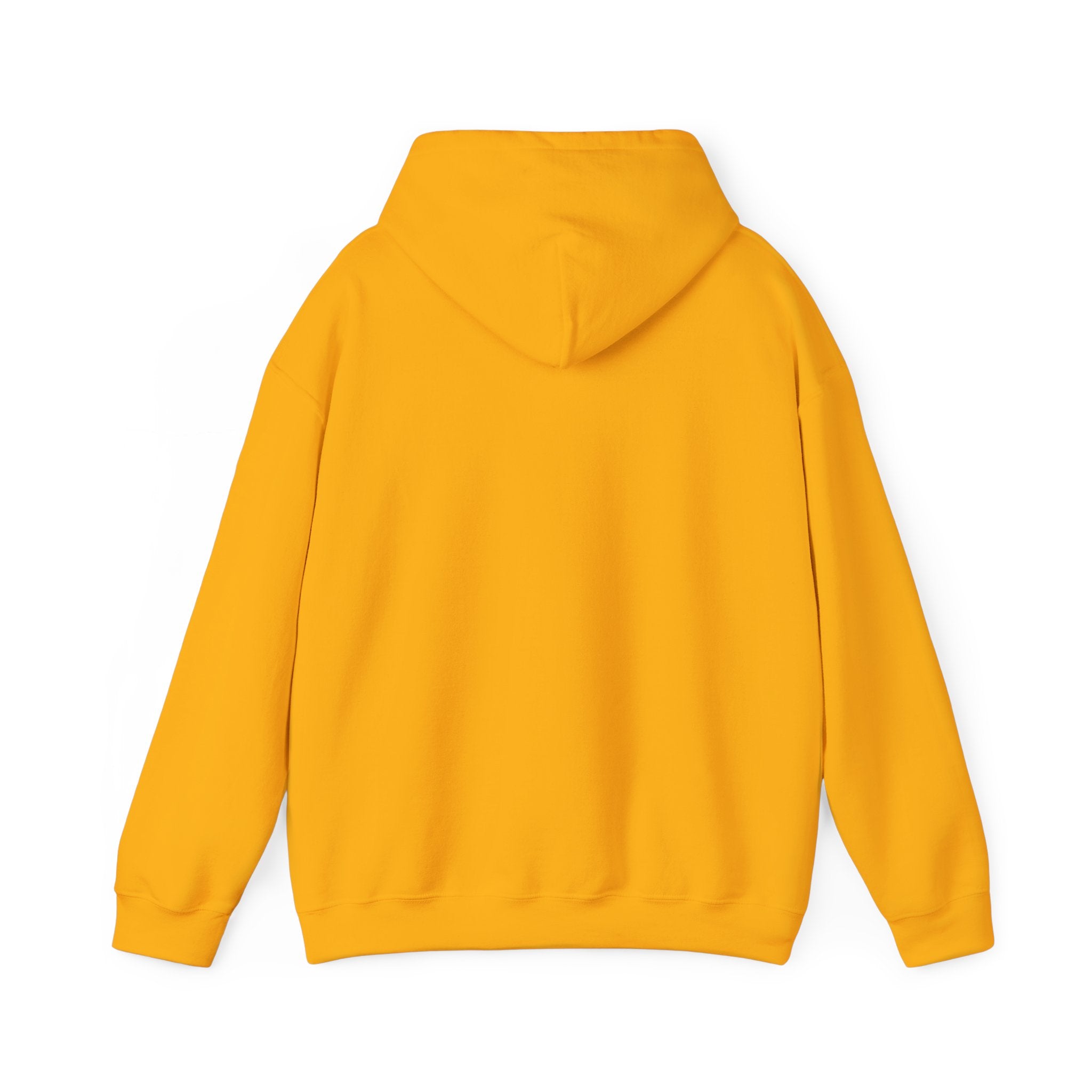 Sōl™ Clothing - Unisex Heavy Blend Hoodie - Cozy Sweatshirt for Every Day, Perfect for Holidays, Gifts, and Chill Evenings