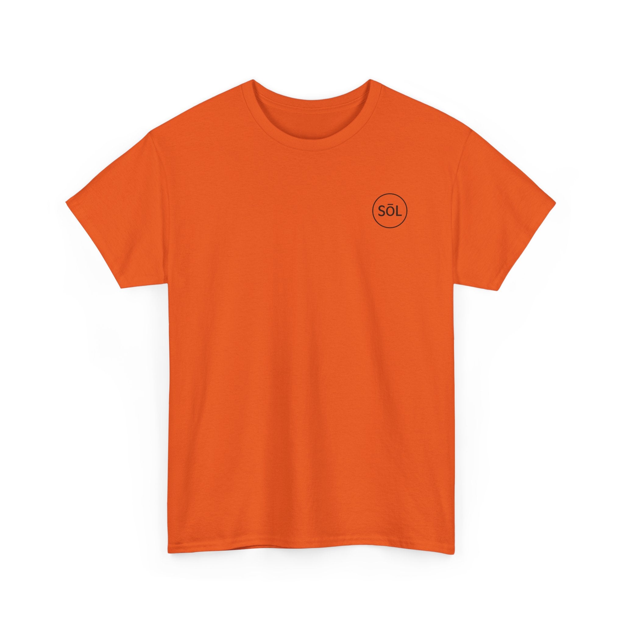 Sōl™ Clothing Unisex Heavy Cotton Minimal Tee - Casual Comfort Wear, Everyday Tee, Gift for Him/Her, Summer Basic, Stylish Layering Piece