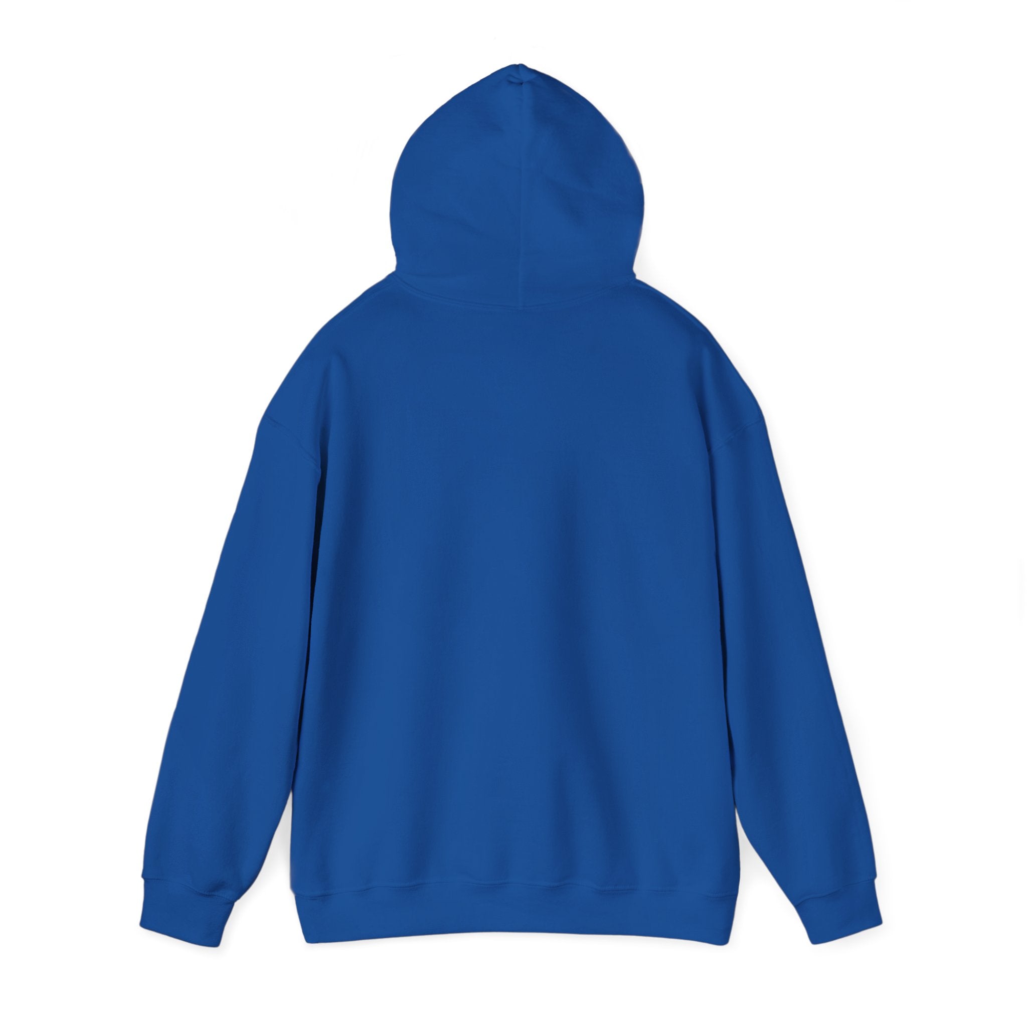 Sōl™ Clothing - Unisex Heavy Blend Hoodie - Cozy Sweatshirt for Every Day, Perfect for Holidays, Gifts, and Chill Evenings