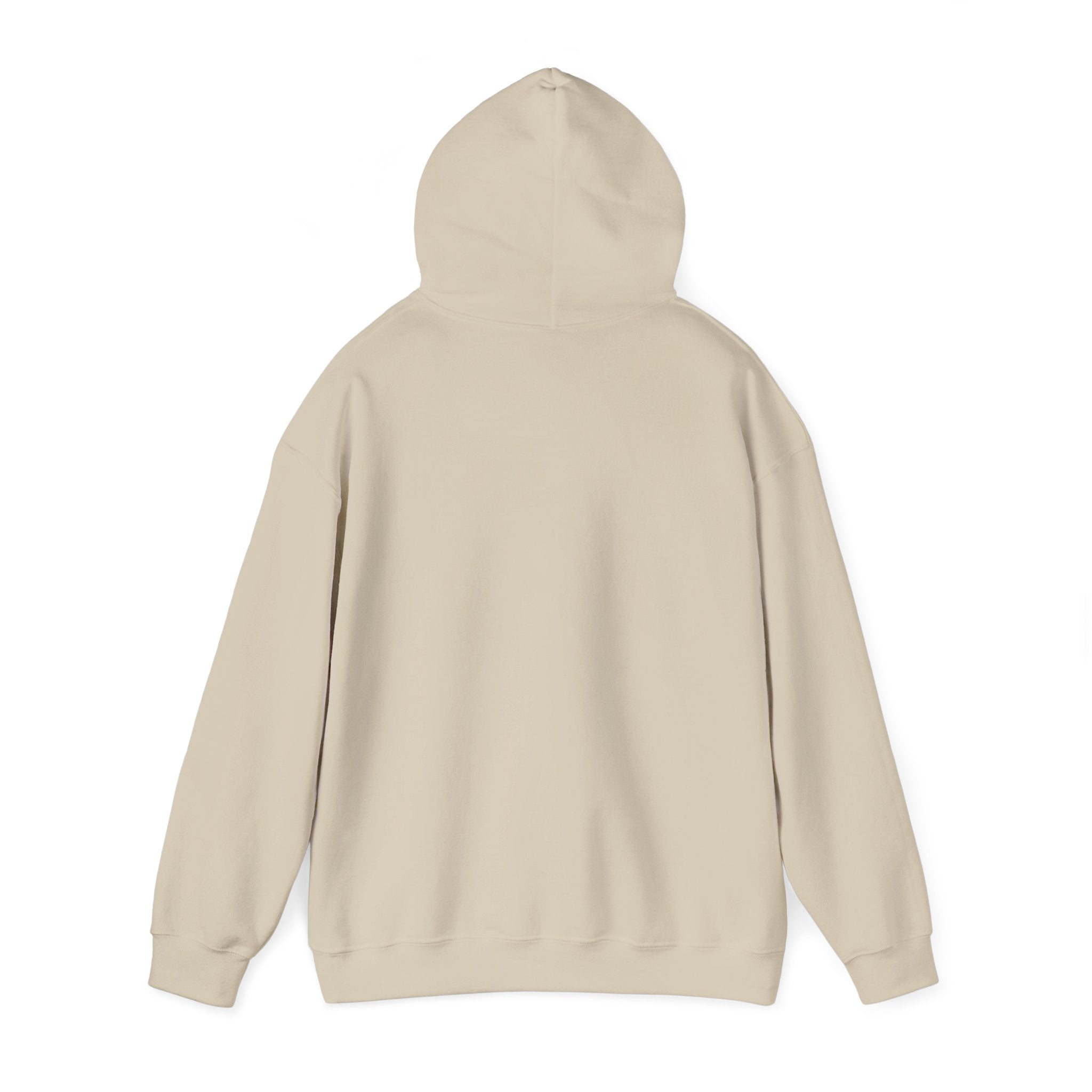 Sōl™ Clothing - Unisex Heavy Blend Hoodie - Cozy Sweatshirt for Every Day, Perfect for Holidays, Gifts, and Chill Evenings