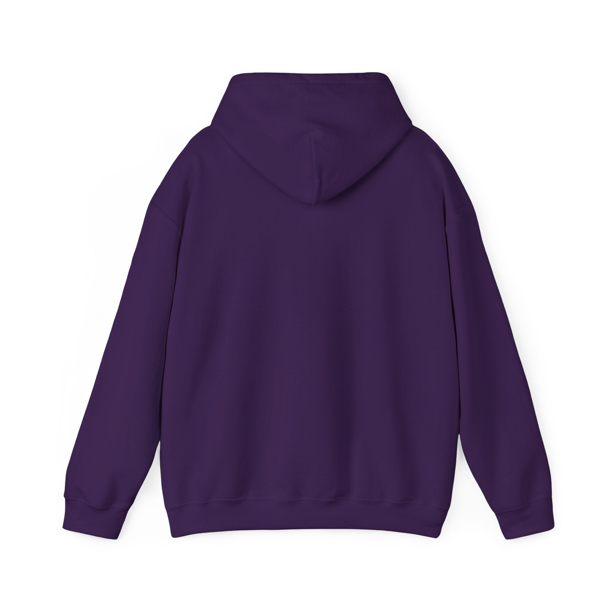 Sōl™ Clothing - Unisex Heavy Blend Hoodie - Cozy Sweatshirt for Every Day, Perfect for Holidays, Gifts, and Chill Evenings