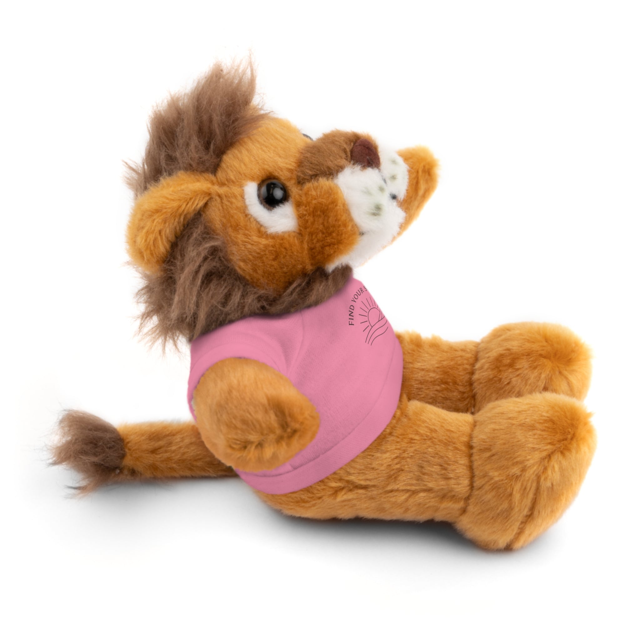 Sōl™ Clothing - Stuffed Animal T-Shirt Buddy, Cute Plush Toy, Personalized Gift, Kids' Birthday Present, Beary Sweet Comfort