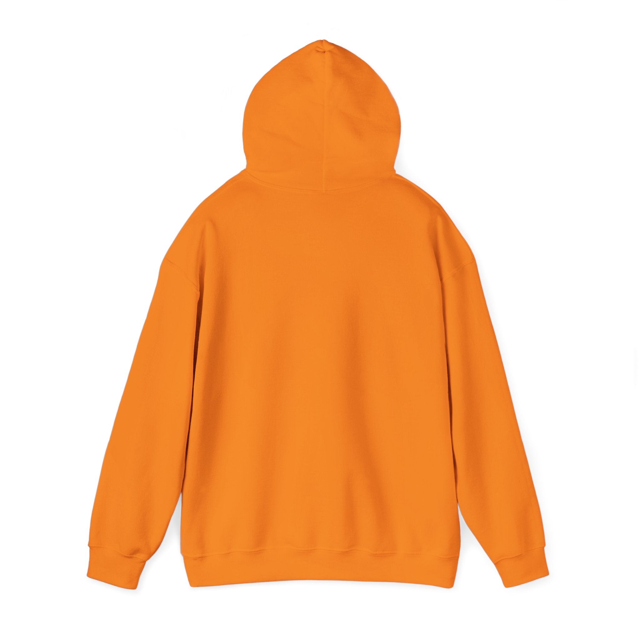 Sōl™ Clothing - Unisex Heavy Blend Hoodie - Cozy Sweatshirt for Every Day, Perfect for Holidays, Gifts, and Chill Evenings
