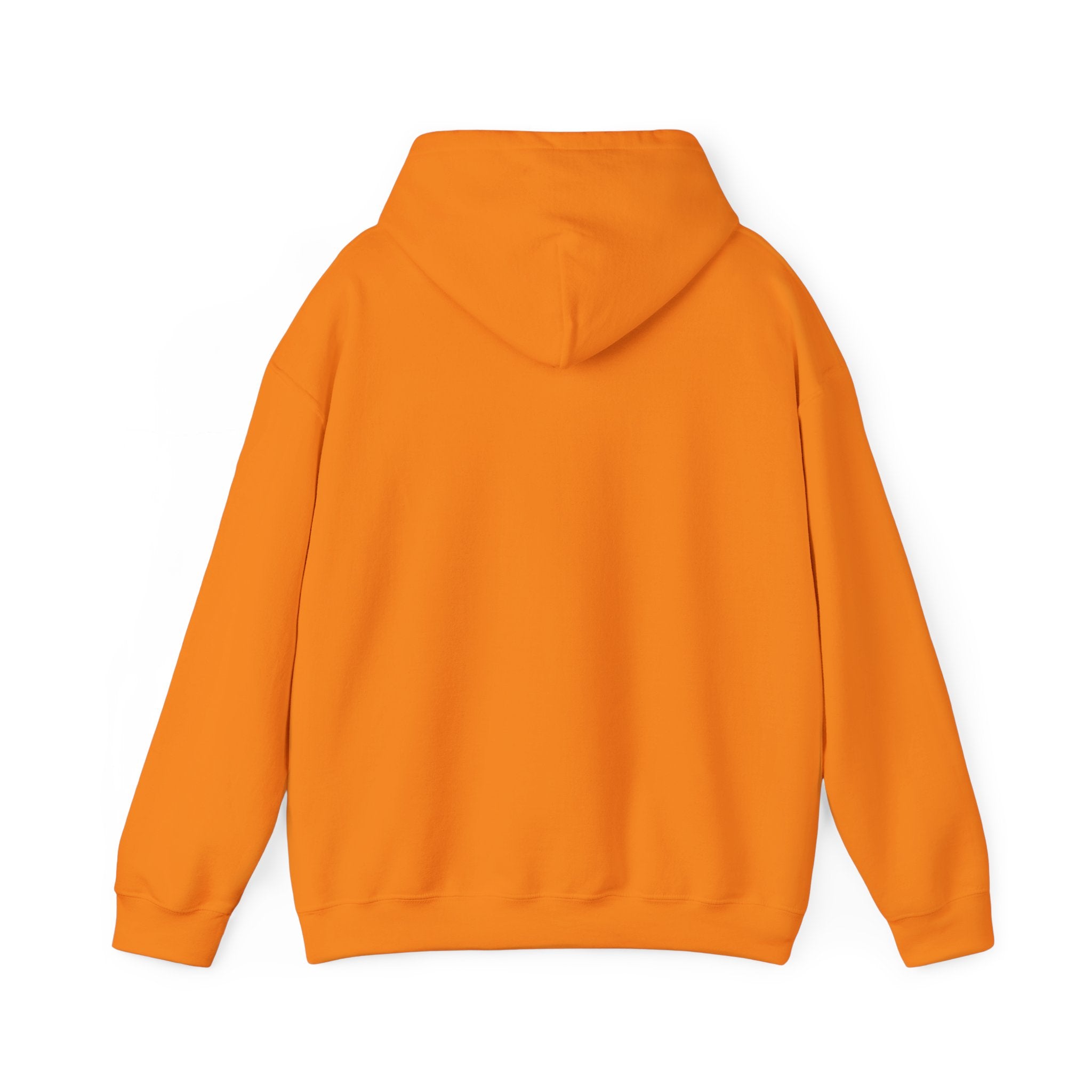 Sōl™ Clothing - Unisex Heavy Blend Hoodie - Cozy Sweatshirt for Every Day, Perfect for Holidays, Gifts, and Chill Evenings