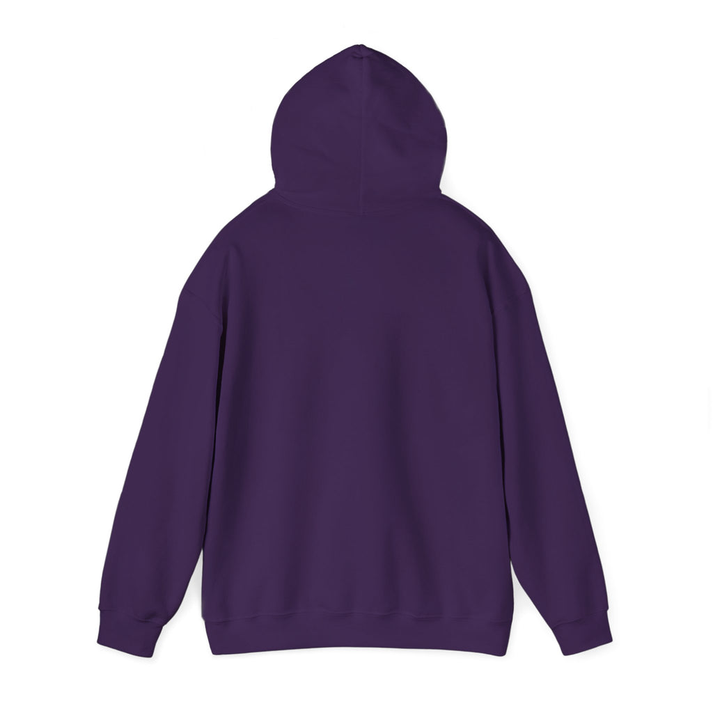Sōl™ Clothing - Unisex Heavy Blend Hoodie - Cozy Sweatshirt for Every Day, Perfect for Holidays, Gifts, and Chill Evenings