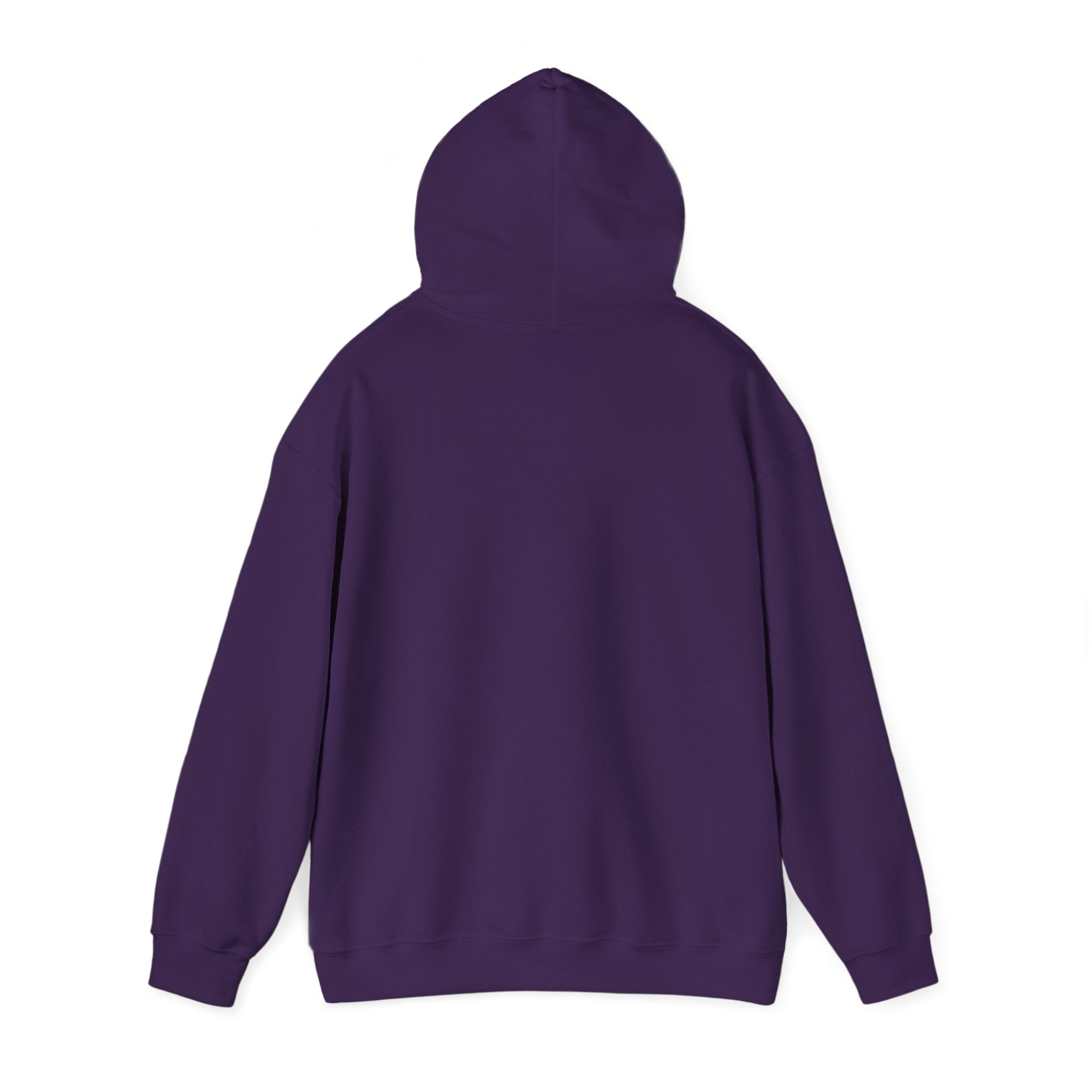 Sōl™ Clothing - Unisex Heavy Blend Hoodie - Cozy Sweatshirt for Every Day, Perfect for Holidays, Gifts, and Chill Evenings