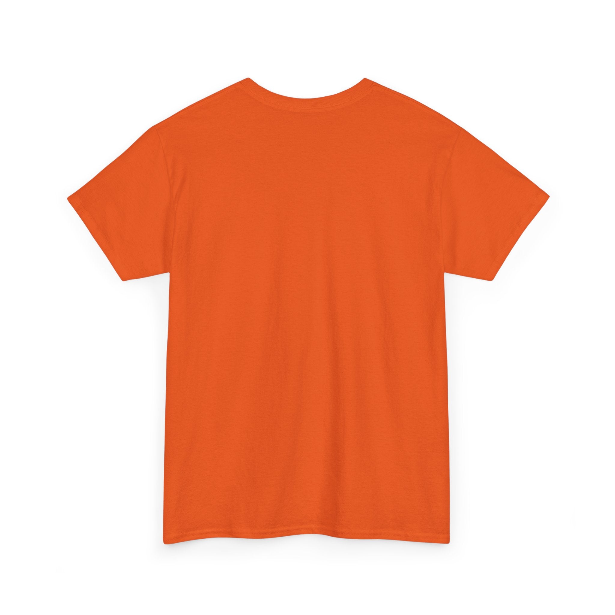 Sōl™ Clothing Unisex Heavy Cotton Minimal Tee - Casual Comfort Wear, Everyday Tee, Gift for Him/Her, Summer Basic, Stylish Layering Piece